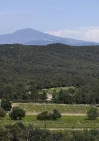 Massif d'Uchaux