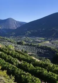Côtes du Rhône Villages Nyons