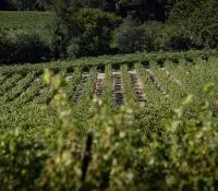 Côtes du Rhône Villages Valréas