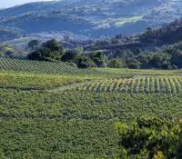 Côtes du Rhône Villages Puyméras