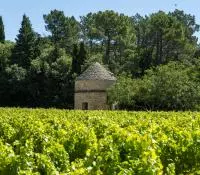 Côtes du Rhône Villages Chusclan