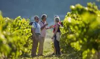 Groupe de personnes discutant dans une vigne