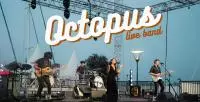 Octopus live band