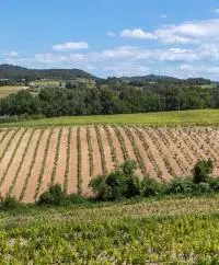 Vaisons la Romaine