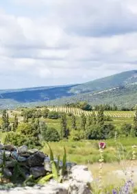 Rousset les Vignes
