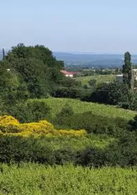 Visan