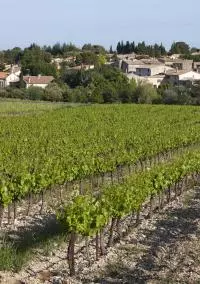 CDR Villages Saint Pantaléon les vignes