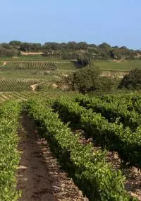 CDR Villages Signargues
