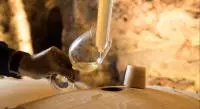 Main versant du vin blanc dans un verre
