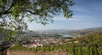 Paysage de la Vallée du Rhône