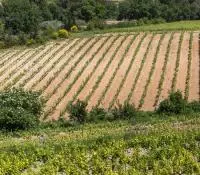 Vaisons la Romaine