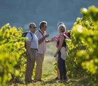Groupe de personnes discutant dans une vigne