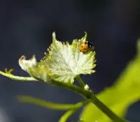 Protéger la faune et la flore