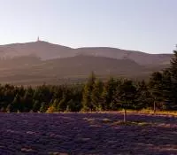 Des sites naturels exceptionnels
