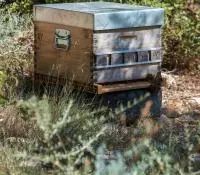 Le guide des recommandations environnementales