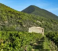 Préservation des paysages et du patrimoine bâti viticole