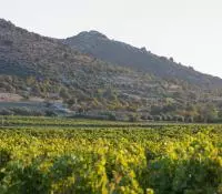 AOC CDRV Saint Andéol 