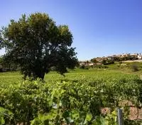 AOC CDRV Rousset les vignes