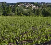 Côtes du Rhône Villages Roaix
