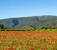 Côtes du Rhône Villages Rousset les vignes