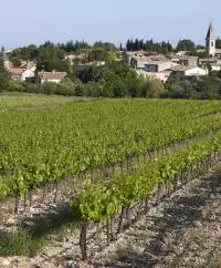 CDR Villages Saint Pantaléon les vignes