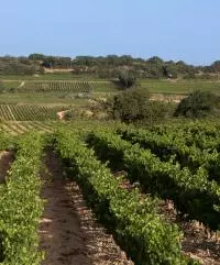 CDR Villages Signargues
