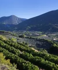 Côtes du Rhône Villages Nyons